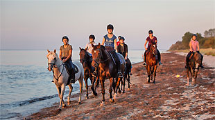 Reiten am Strand von Neuhof