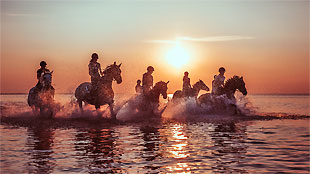 Reiten am Strand von Neuhof