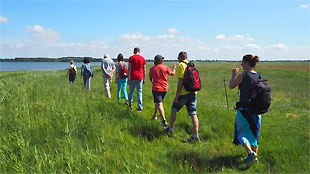 geführte Wanderung über die Insel Poel