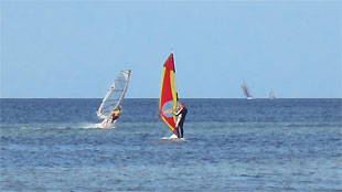 Windsurfer im Surfrevier