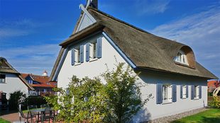 Ferienhaus Muschelsucher