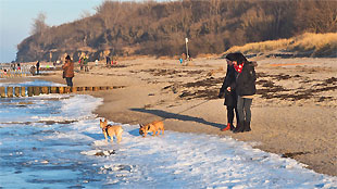 am Hundestrand auf Poel