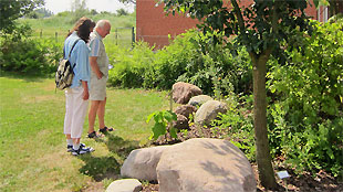 Rundgang im Findlingsgarten des Inselmuseums