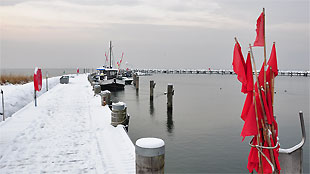 Winterzeit auf der Insel Poel