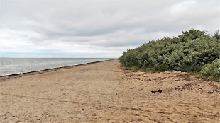 Naturstrand Hinter Wangern